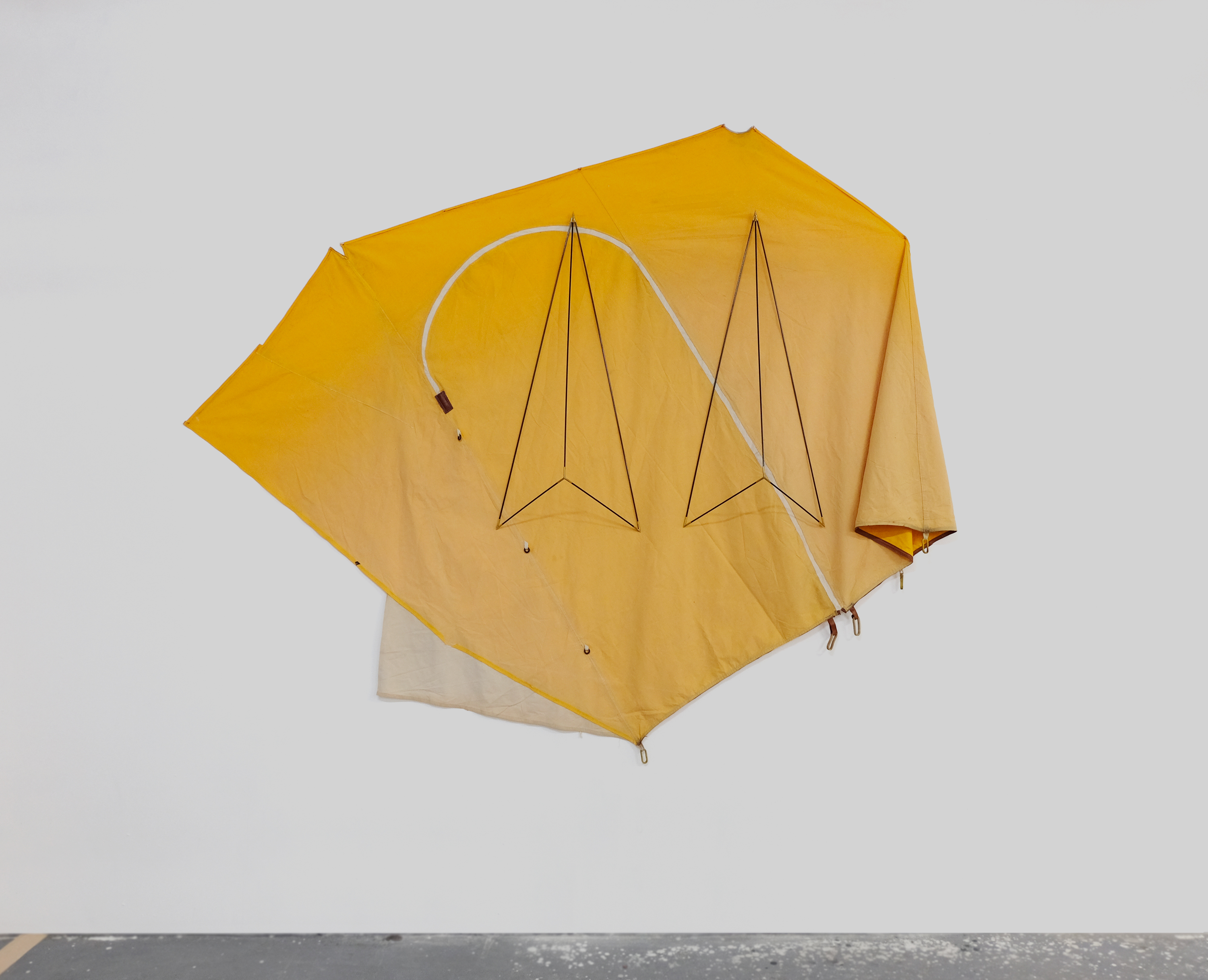 lecreurer_delta_twins_1